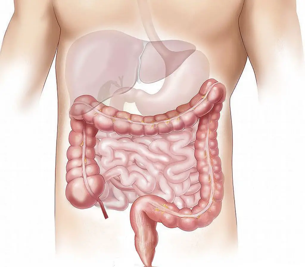 how to keep your colon healthy