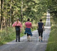 Does Walking Increase Longevity And Quality Of Life?