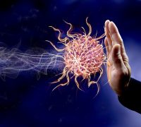 Best Immune System Boosters To Help Fight Infection